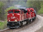CP 7007